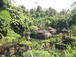 Campos de Arroz de Ubud - Tegallalang