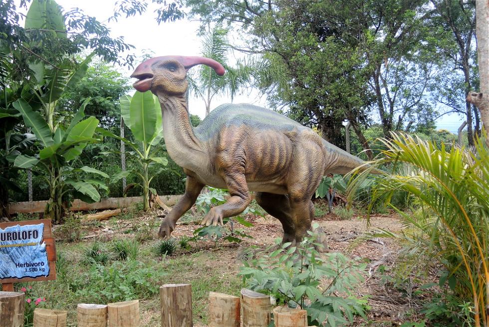 Arrangement Downward Charming Vale dos Dinossauros en Foz do Iguaçu: 3 opiniones y 10 fotos