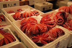 Mercado de pescado Tsukiji