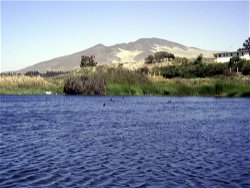 Humedal de Huasco
